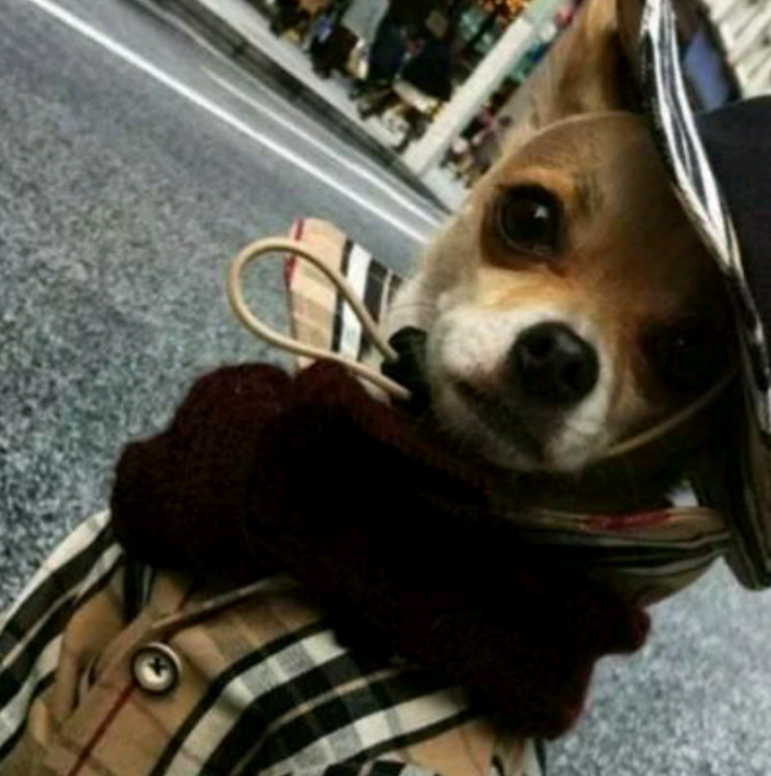 포스트의 이미지