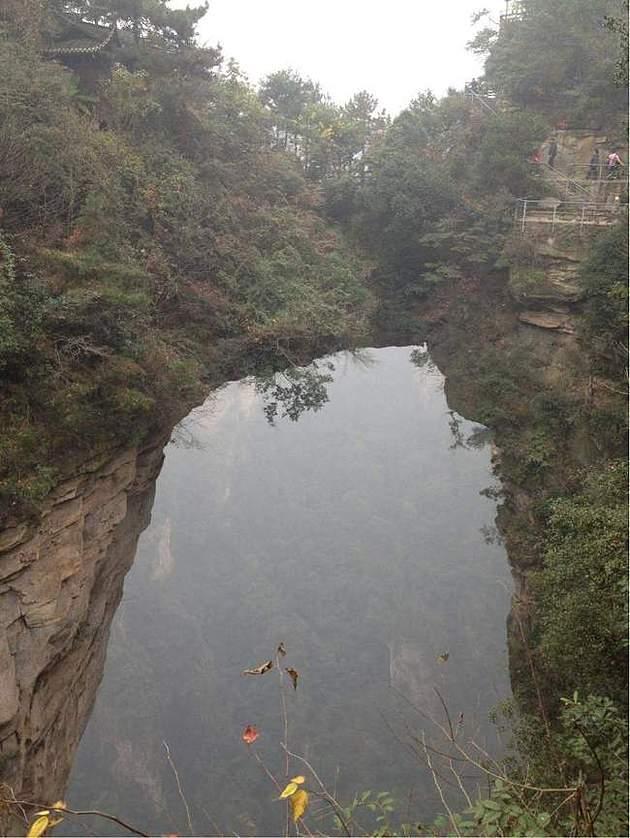 포스트의 이미지