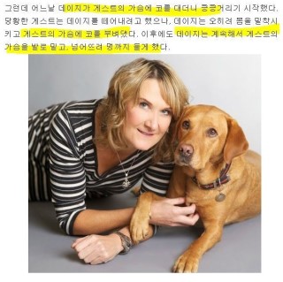 포스트의 이미지