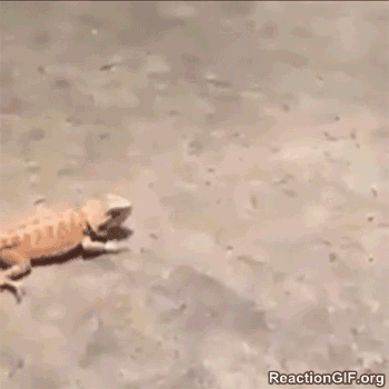 포스트의 이미지