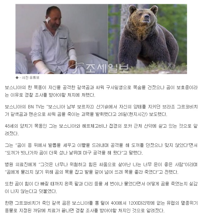 포스트의 이미지