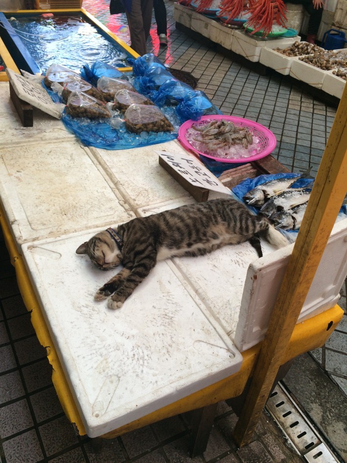 이거까지 이미지
