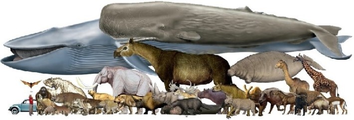 지구상 존재했던 거대동물과 사람 크기비교