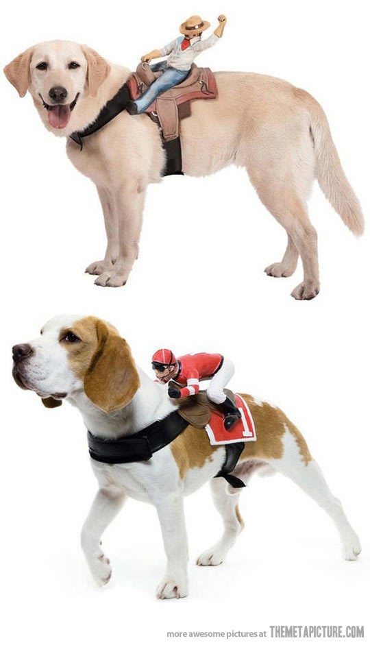 신박한 아이디어 제품