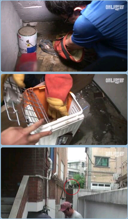 새끼냥이한테 무슨일이 있었던 걸까