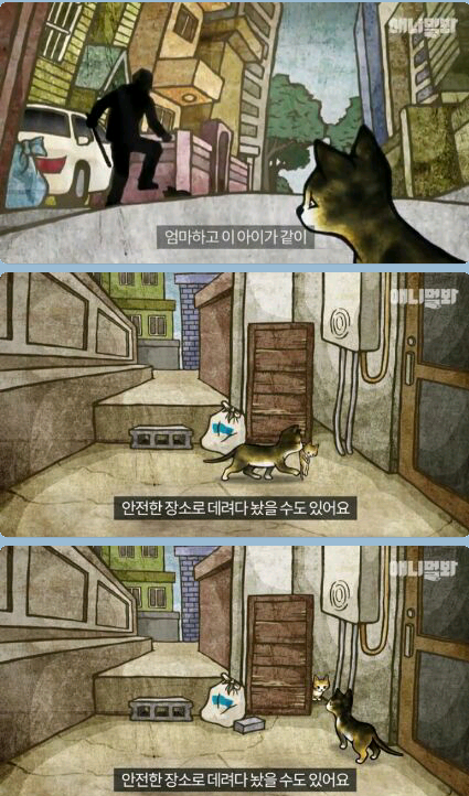 새끼냥이한테 무슨일이 있었던 걸까