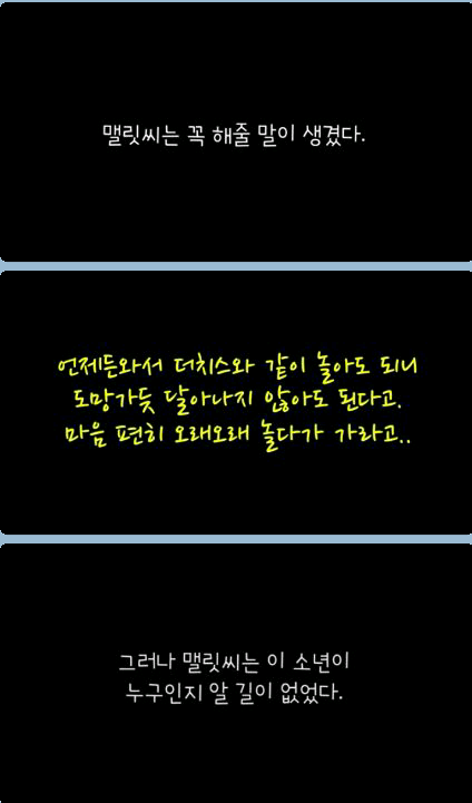 귀여운 무단침입자 ㅎ