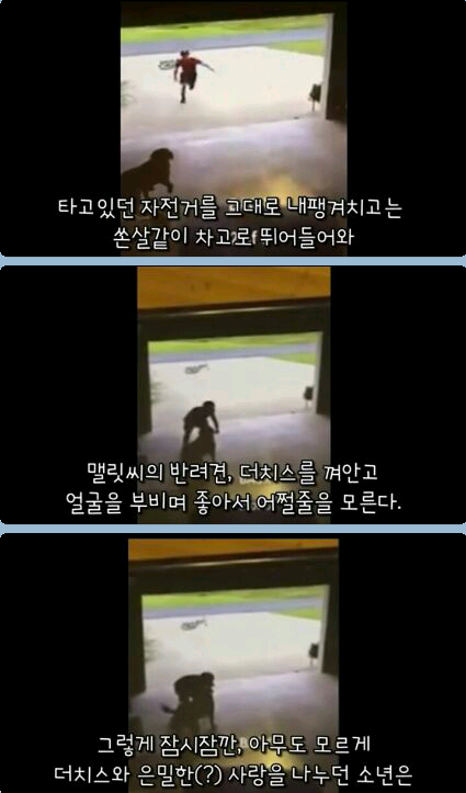 귀여운 무단침입자 ㅎ