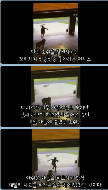 귀여운 무단침입자 ㅎ