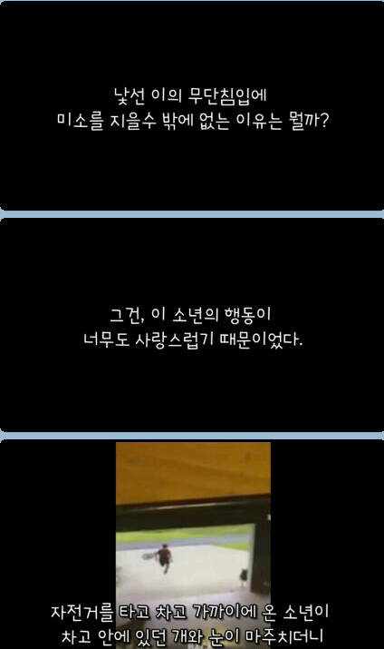 귀여운 무단침입자 ㅎ