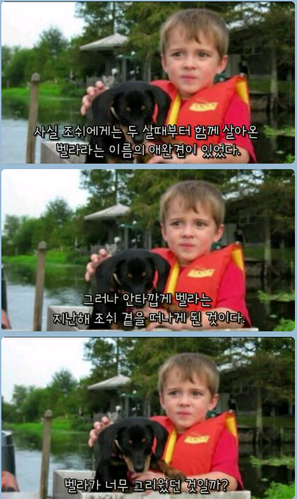 귀여운 무단침입자 ㅎ