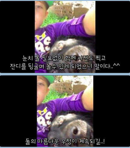 귀여운 무단침입자 ㅎ