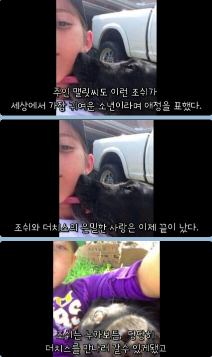 귀여운 무단침입자 ㅎ