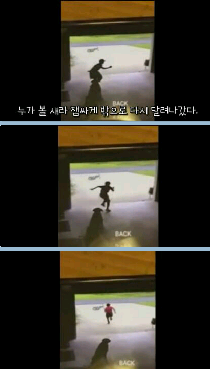 귀여운 무단침입자 ㅎ