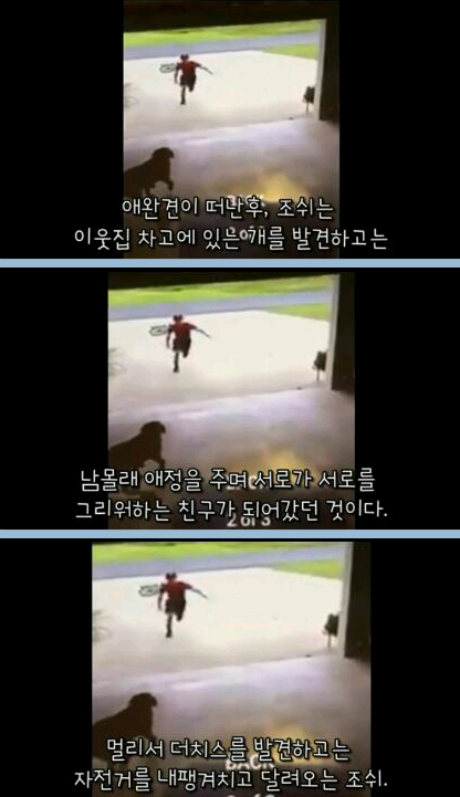 귀여운 무단침입자 ㅎ