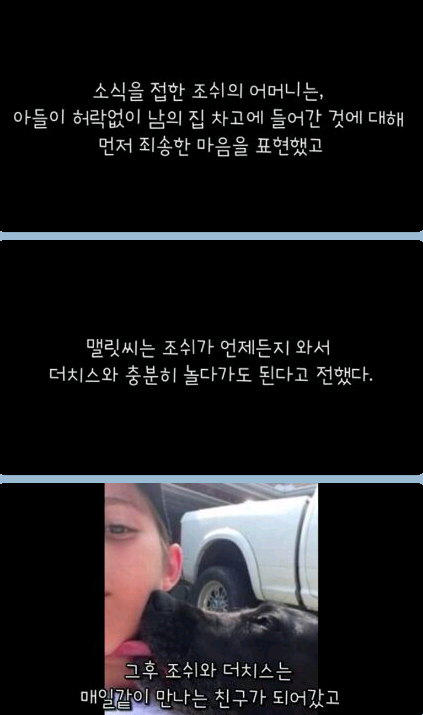 귀여운 무단침입자 ㅎ