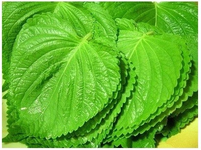 삼겹살 먹는데 딱 3가지만 먹을수 있다면...?