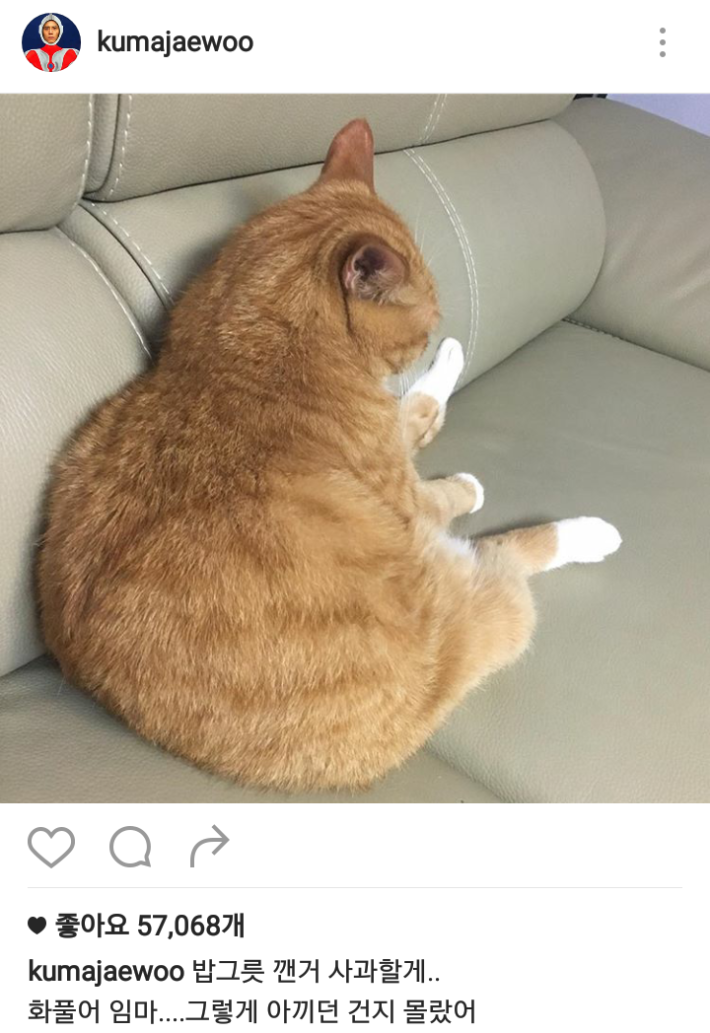 김재우 인스타 근황