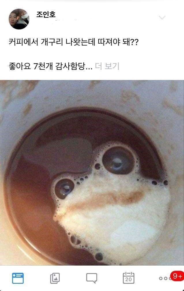 허언증 갤러리 근황