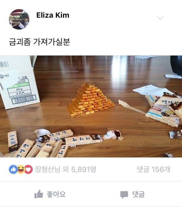 허언증 갤러리 근황