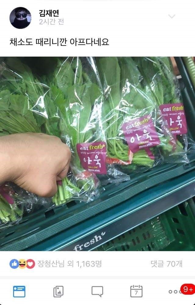 허언증 갤러리 근황