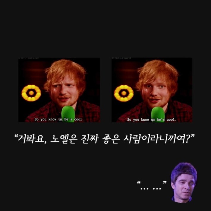 동네방네 시비걸고 다니는 영국아저씨ㅋㅋㅋ