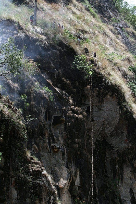 네팔의 벌집헌터.jpg