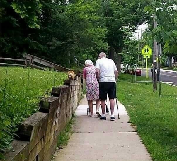 사랑에 나이는 없다