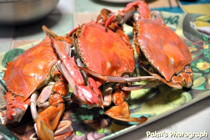 외식이 하고 싶을 땐..?(펌)