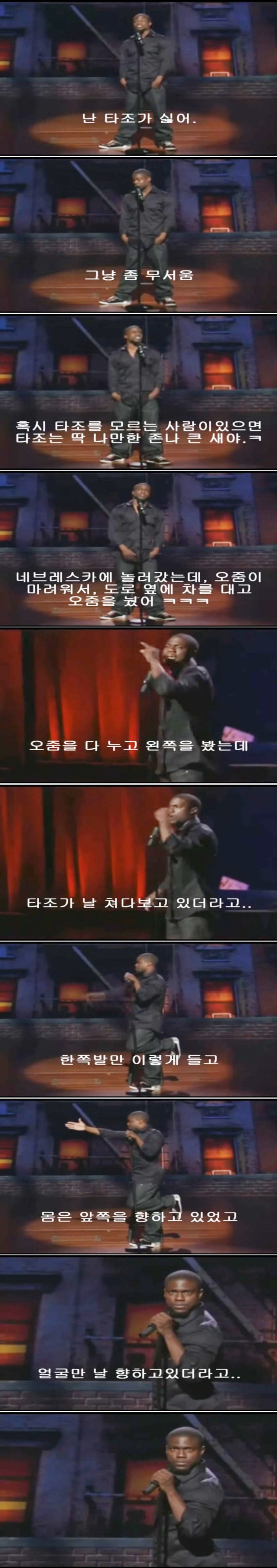 타조가 싫은 이유 ㅋㅋㅋㅋ.jpg