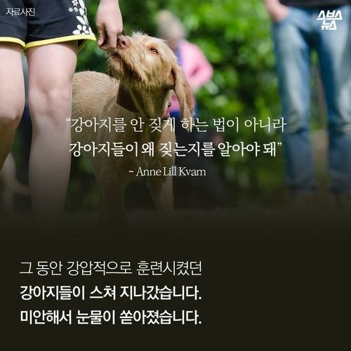 강아지 공장에서 꿈을  키운 아이