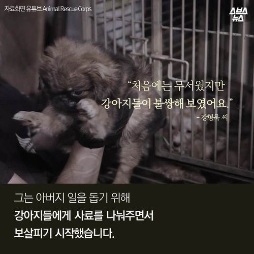 강아지 공장에서 꿈을  키운 아이