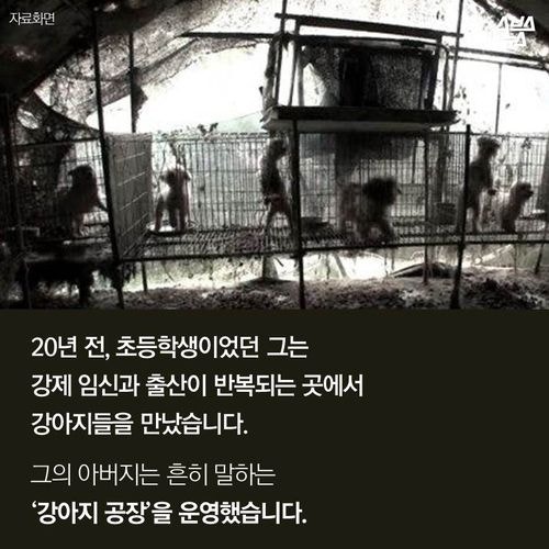 강아지 공장에서 꿈을  키운 아이