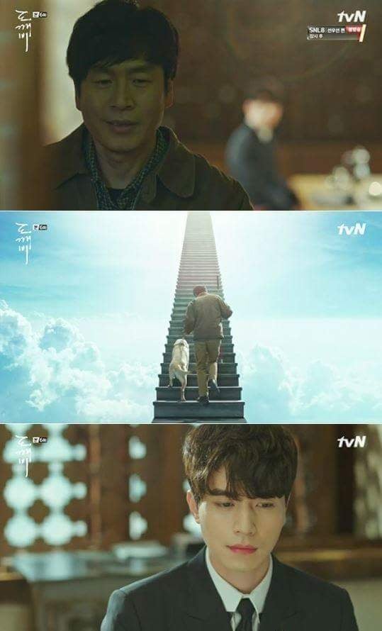 저승에서 반려인을 마중 나온 반려견