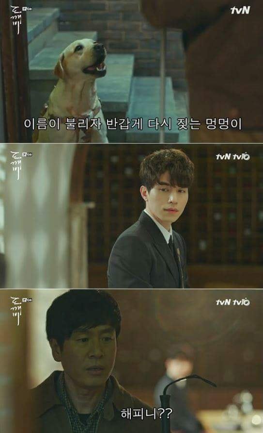 저승에서 반려인을 마중 나온 반려견