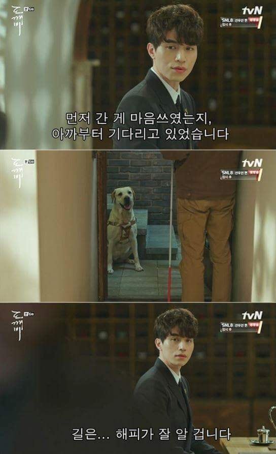 저승에서 반려인을 마중 나온 반려견