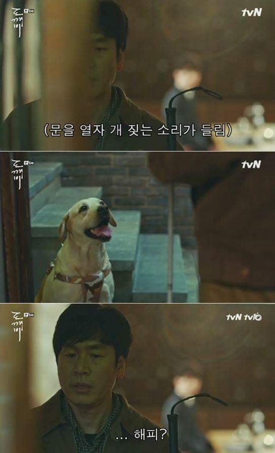 저승에서 반려인을 마중 나온 반려견