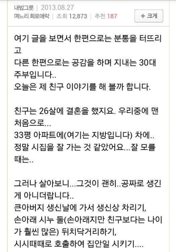 시누이에게 복수