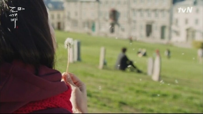 도깨비 민들레의 꽃말...대박