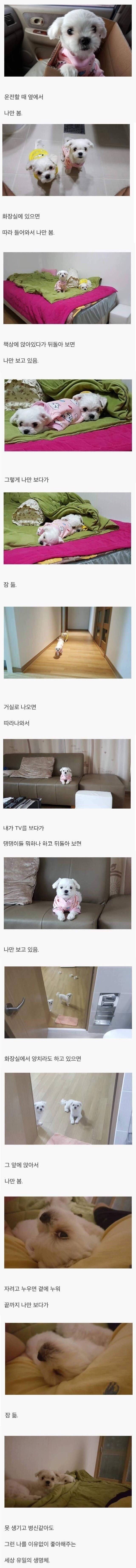 첫 댓글의 중요성.jpg