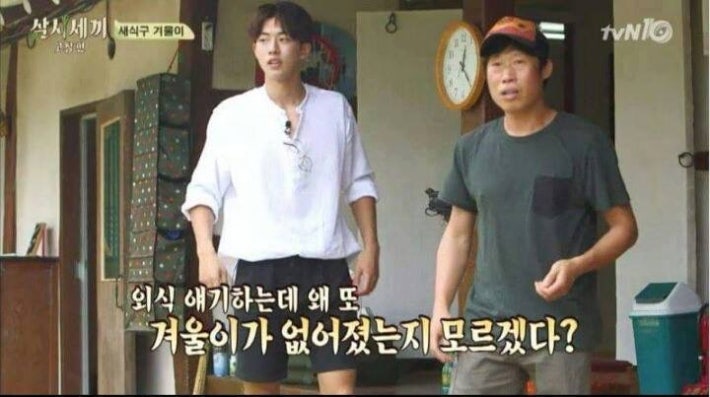 강아지가 사라졌을 때 꿀팁