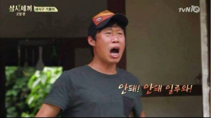 강아지가 사라졌을 때 꿀팁