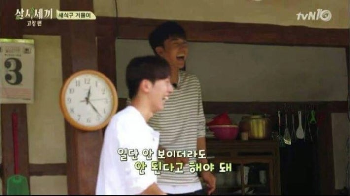 강아지가 사라졌을 때 꿀팁