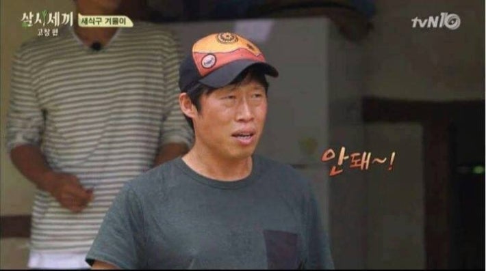 강아지가 사라졌을 때 꿀팁