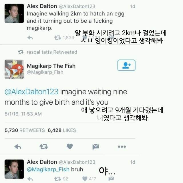 잉어킹의 일침ㅋ