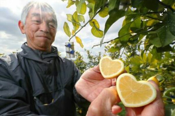 세월이 흐른  공유
