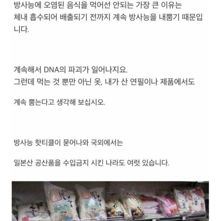 도쿄 5년 거주자의 증언 "