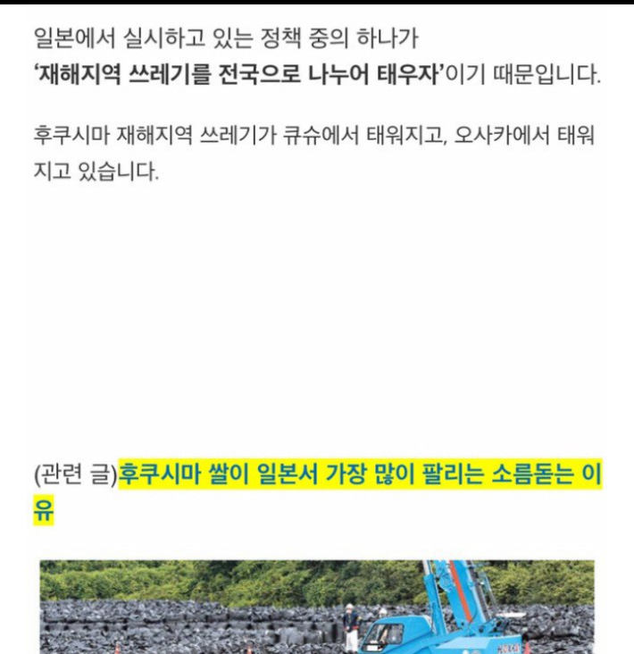 도쿄 5년 거주자의 증언 "