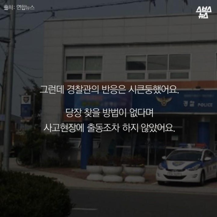 가족같은 강아지의 죽음(추가)