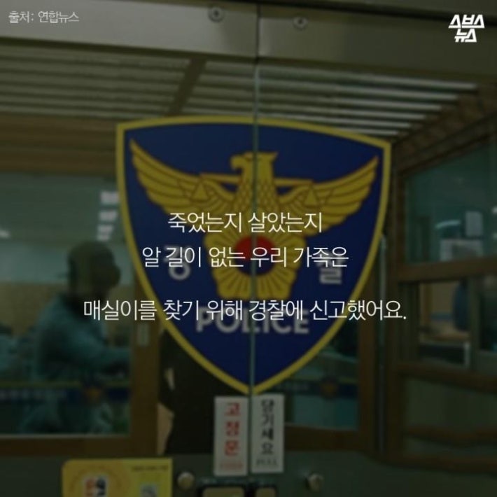 가족같은 강아지의 죽음(추가)